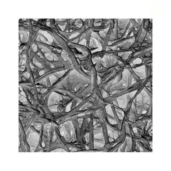 Absorbent Pad 13mm, cellulose support pads are used to reinforce filters in Millipore’s for contamination analysis – AP1001300 – Merck